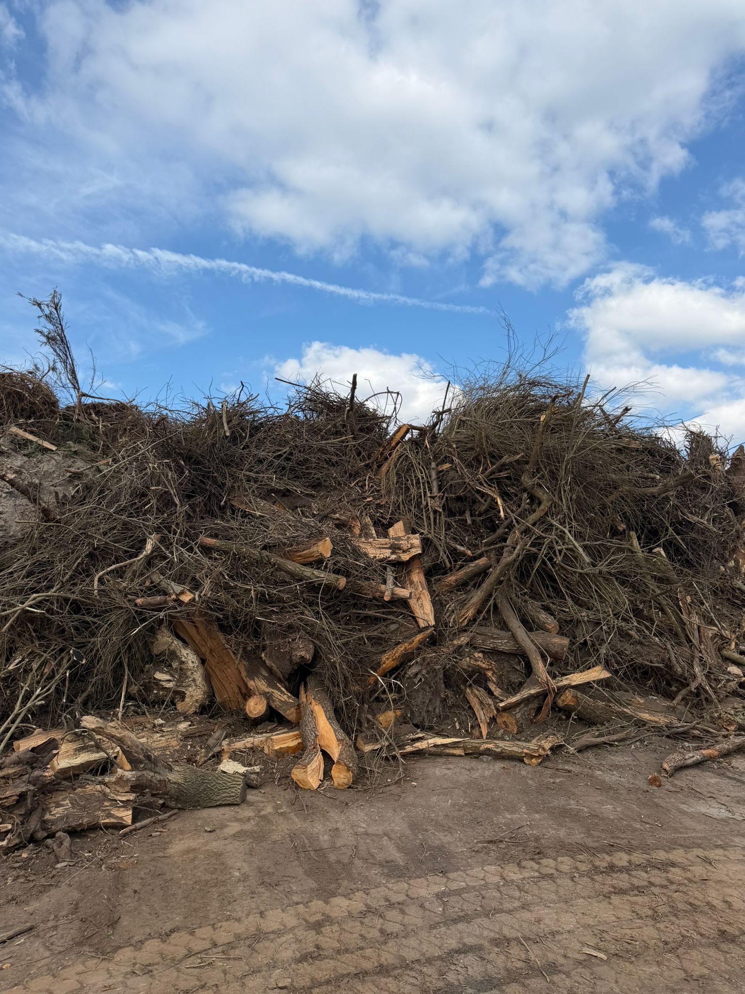 Materiał na biomasę — tylko sprzedaż