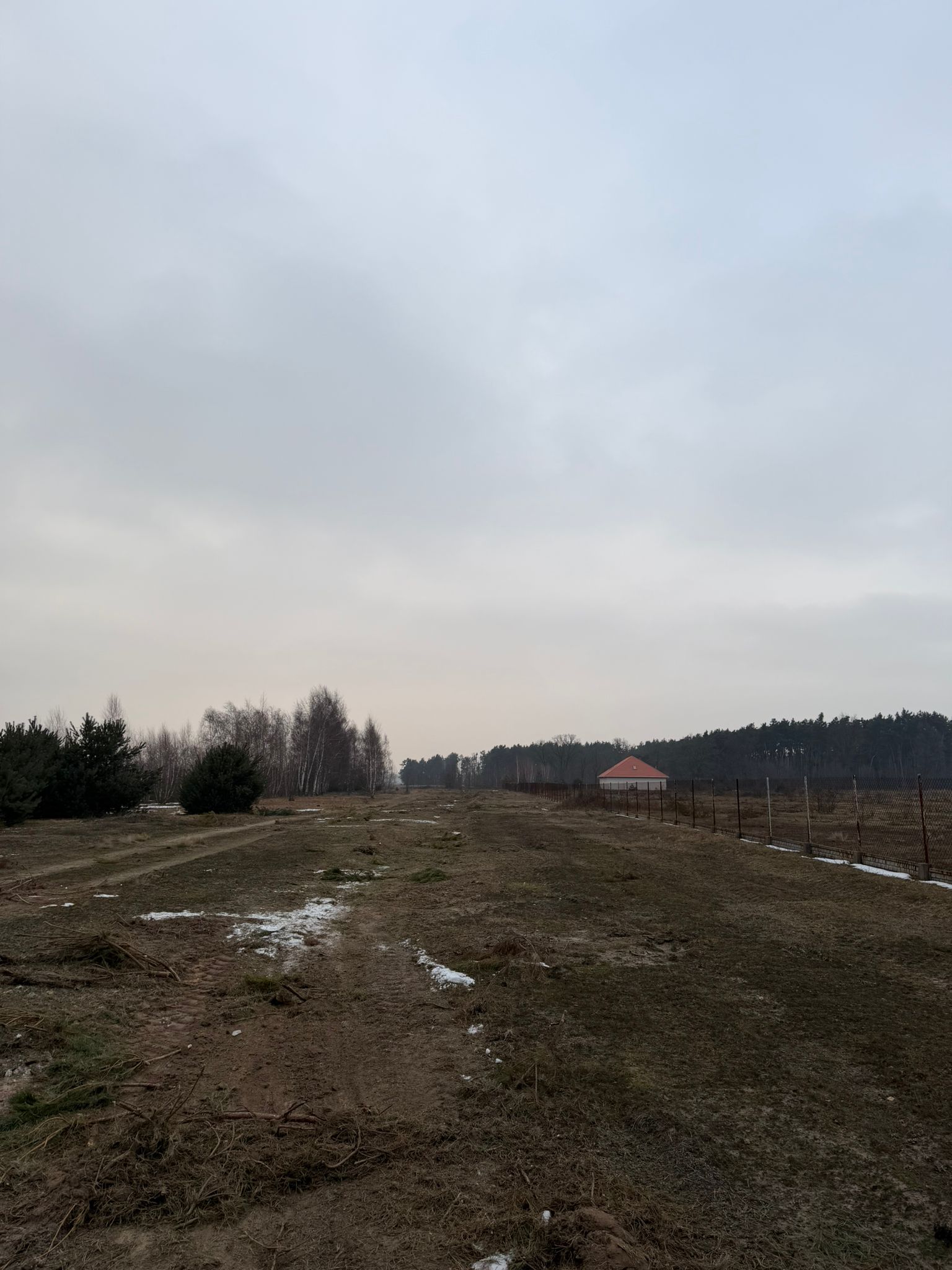 Czyszczenie działek